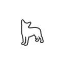 img Skin