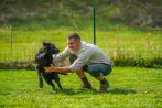 Chovatelska stanica labradorov