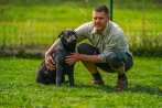 Chovatelska stanica labradorov