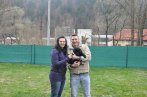 Chovatelska stanica labradorov